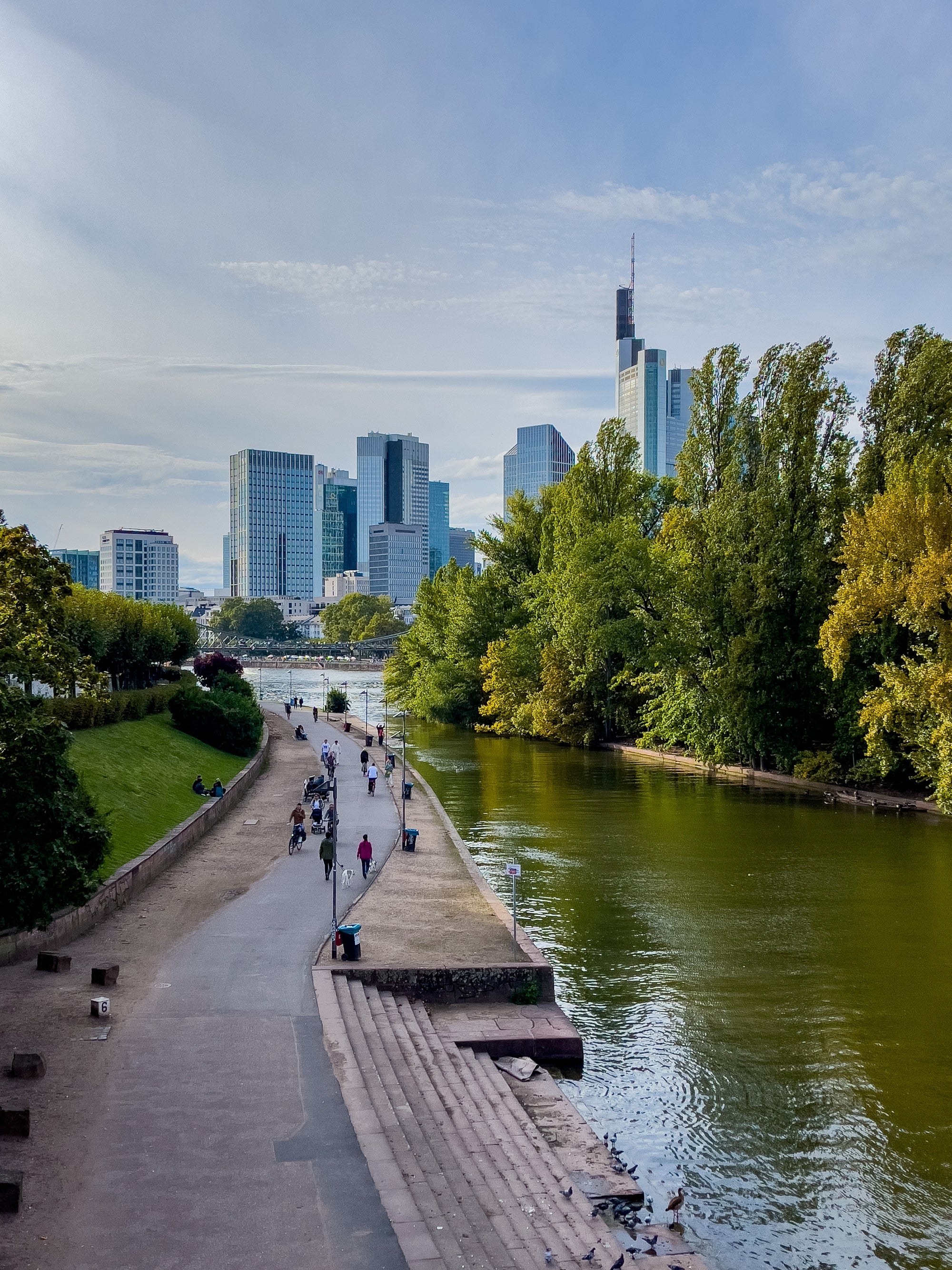Der Fluss Main lenkt führt den Blick auf die Skyline von Frankfurt am Main 