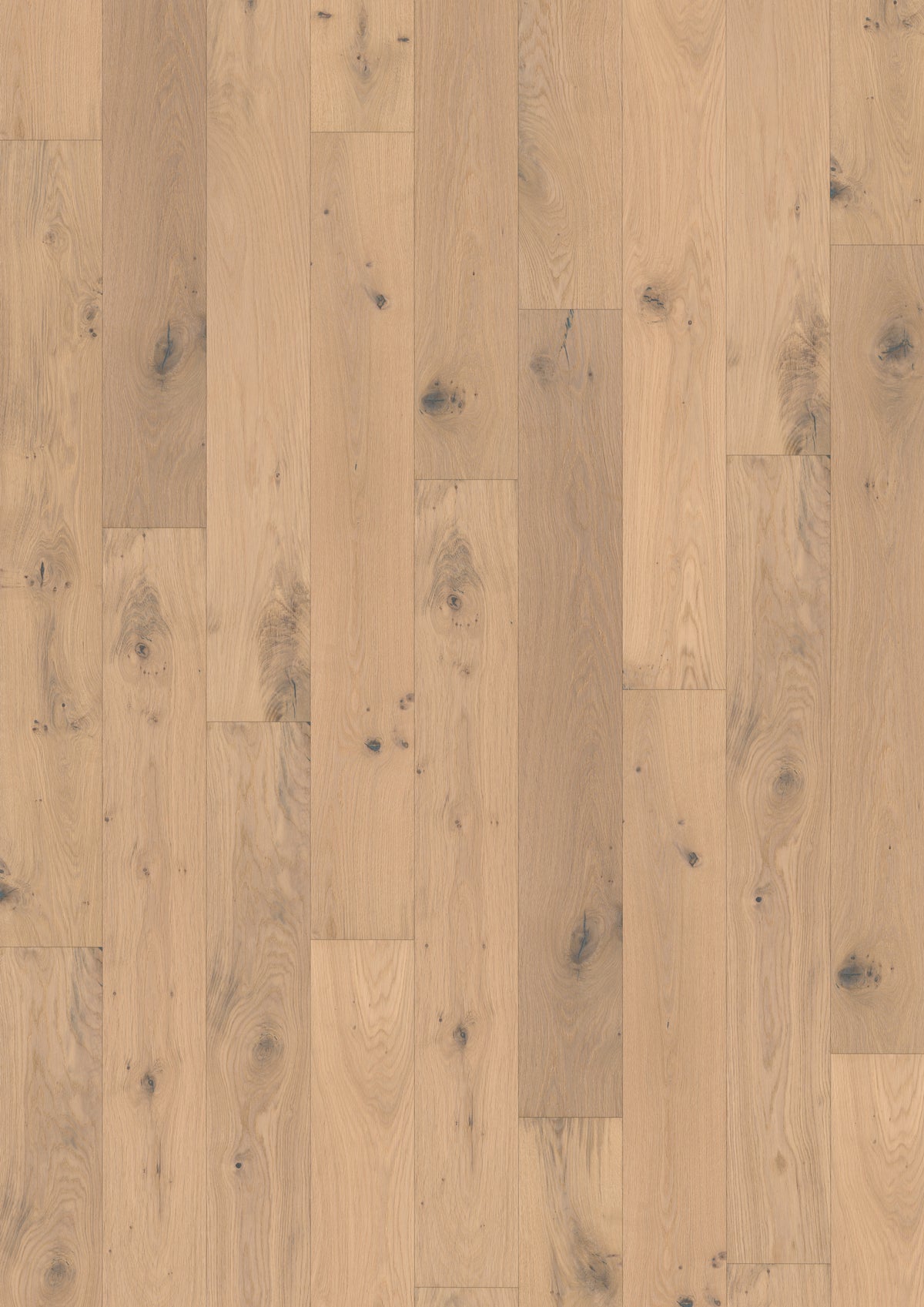 Deutsches Parkett Eiche Landhausdiele Berlin